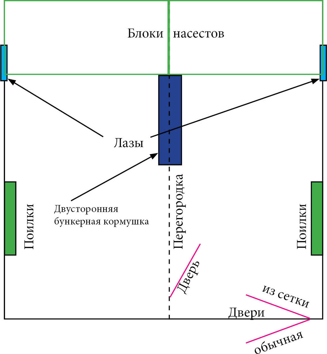 План моего курятника