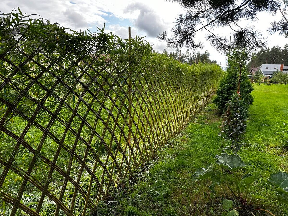 Плетение в 3 прута, высота более 2х метров