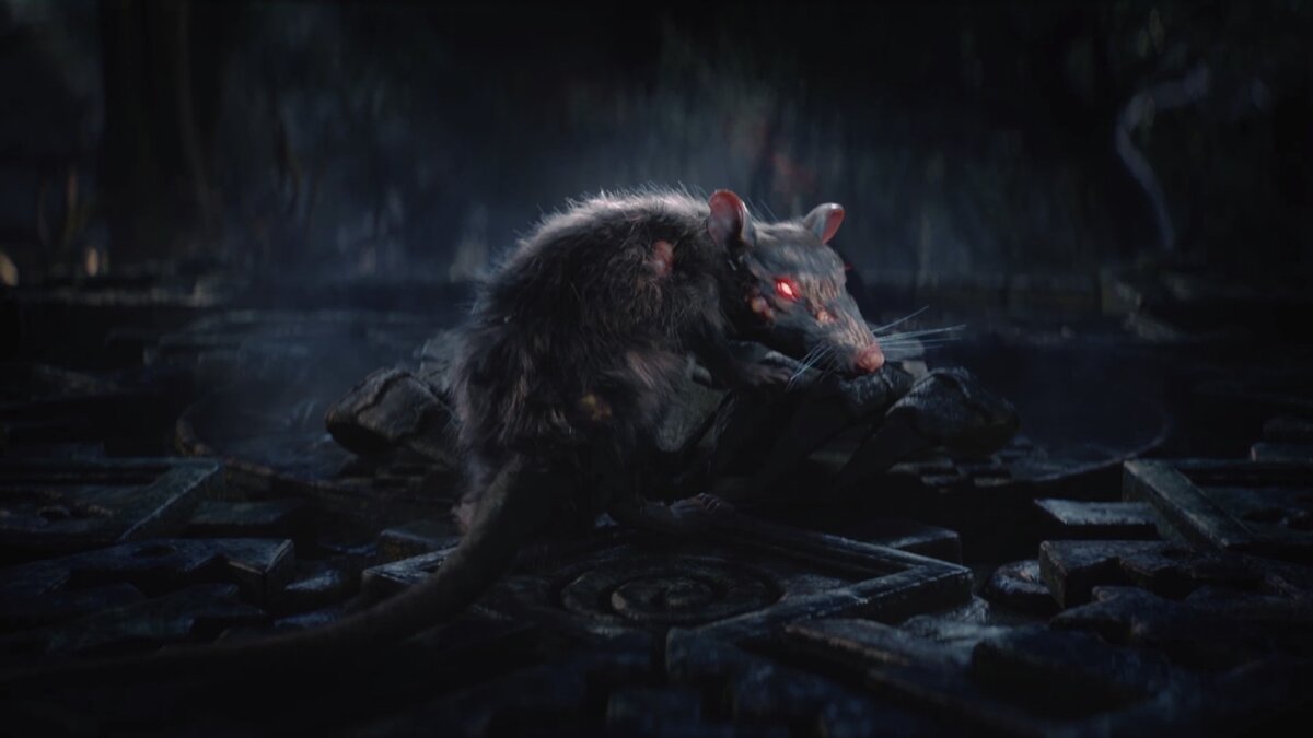 Я приношу подарочки. Вам совершенно бесплатно достается чума.