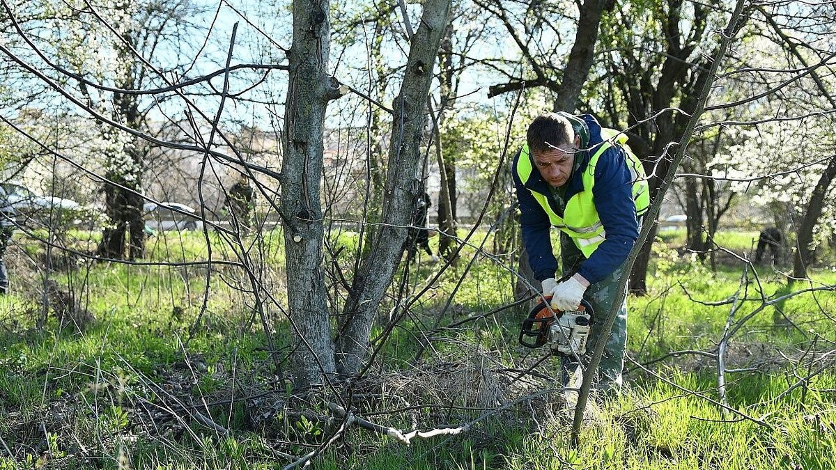    В Краснодаре пройдет общегородской субботник. Фото: Александр Райко