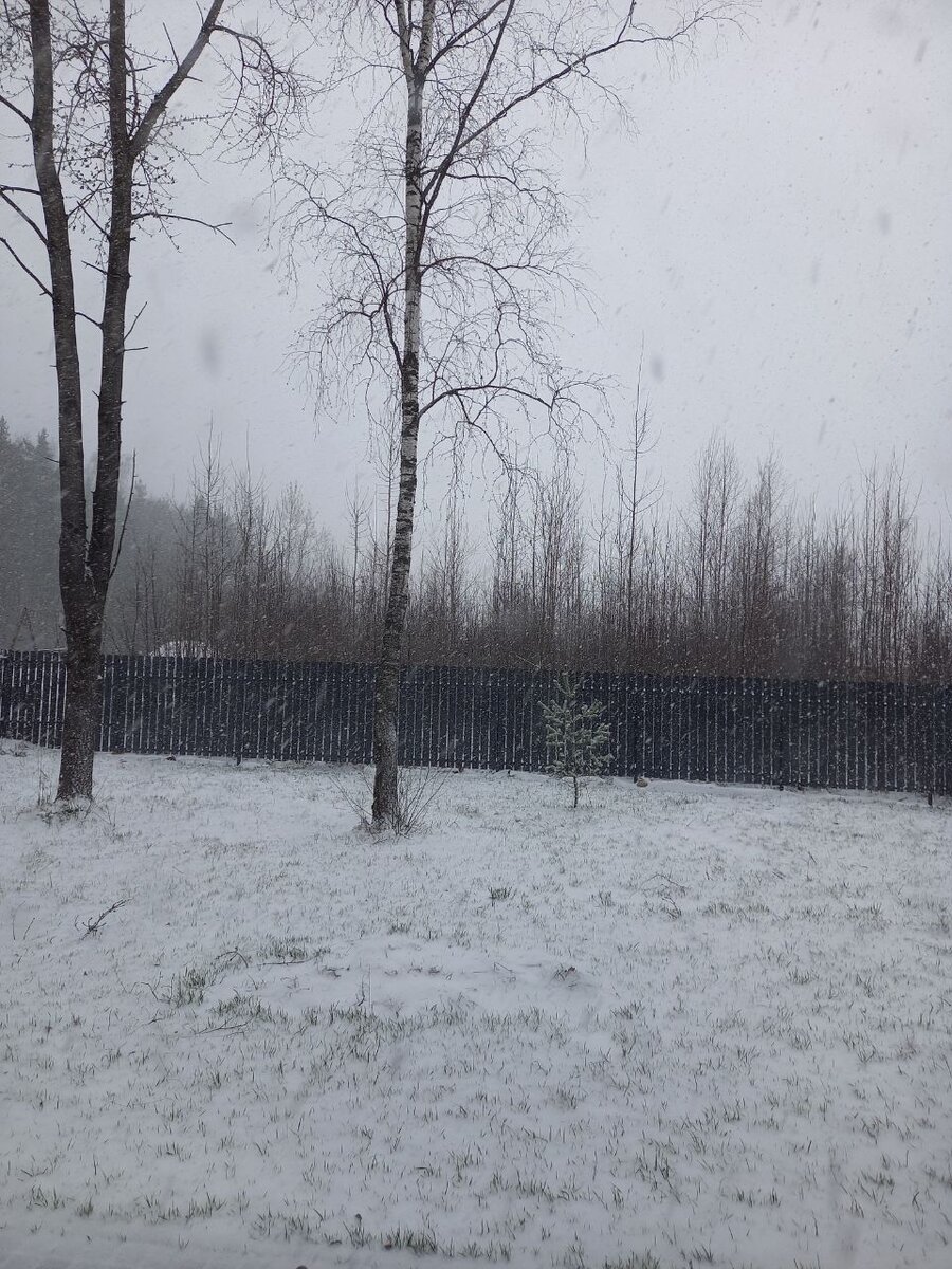 вид из нашего окна