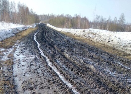 Фото: ГУФССП России по Новосибирской области