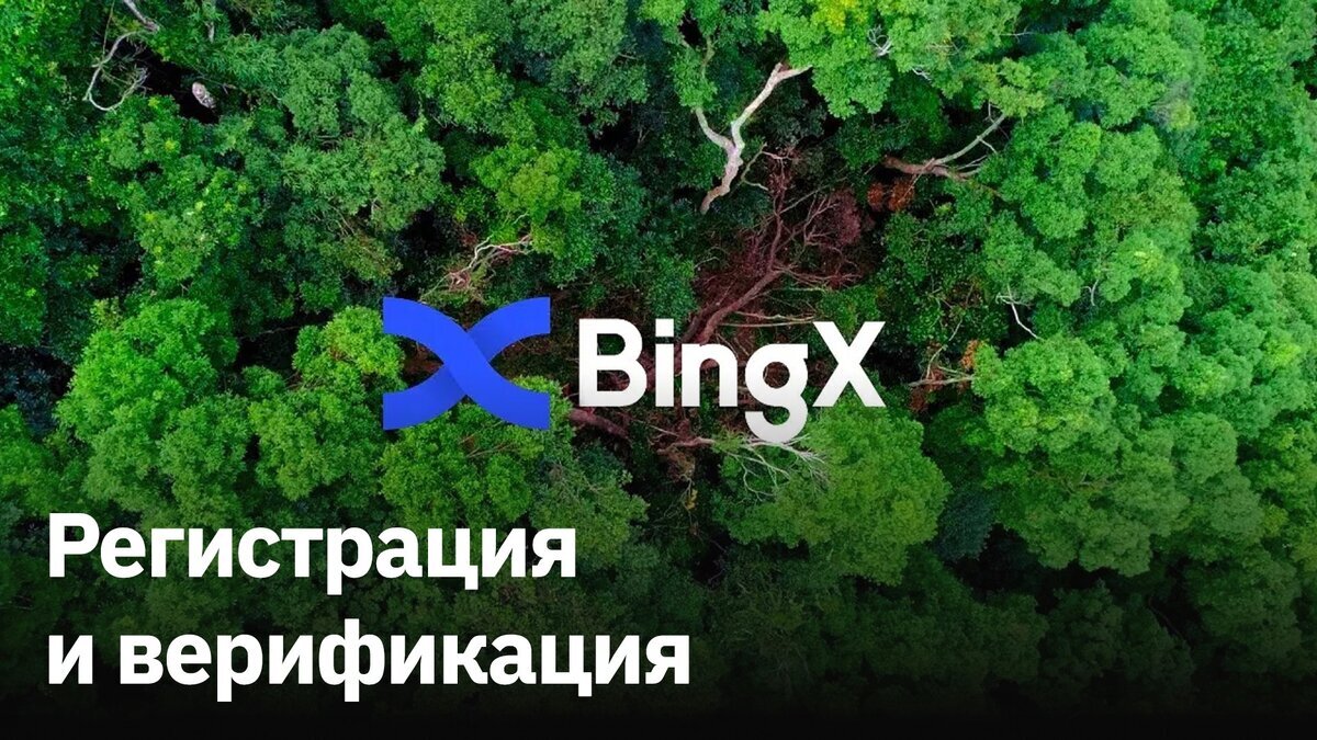 BINGX ТРЕБУЕТСЯ ВЕРИФИКАЦИЯ - ЭТО БЕЗОПАСНО?