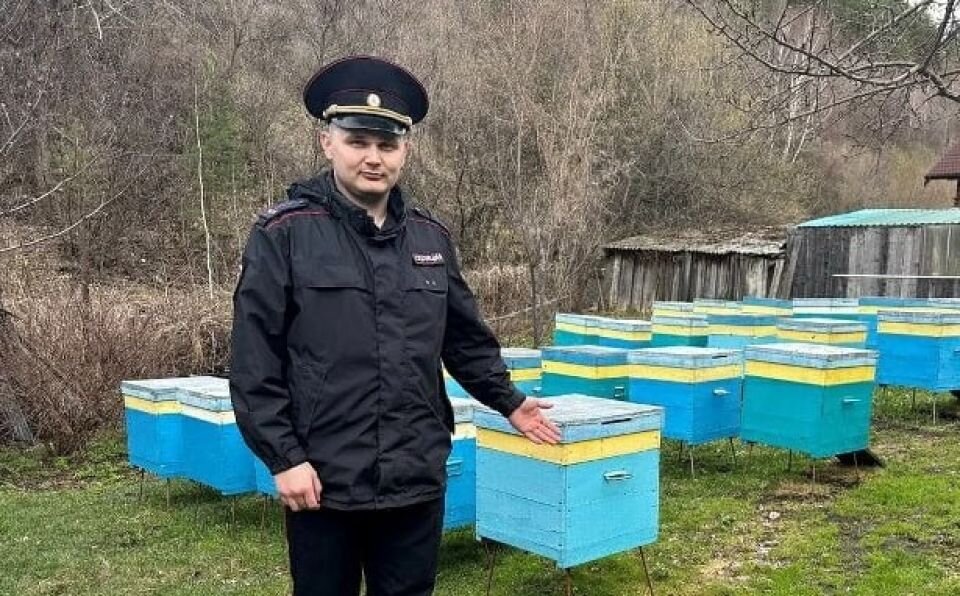    Пасека. Ульи. Источник: пресс-служба МВД по Алтайскому краю
