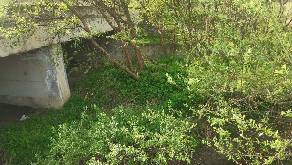     Источник: newstracker.ru