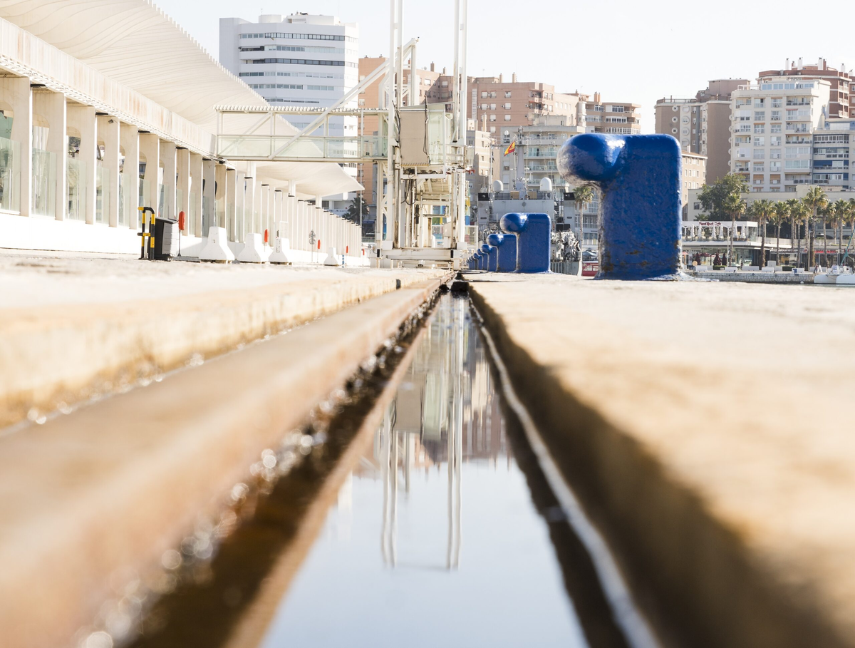 Фото: freepik.com