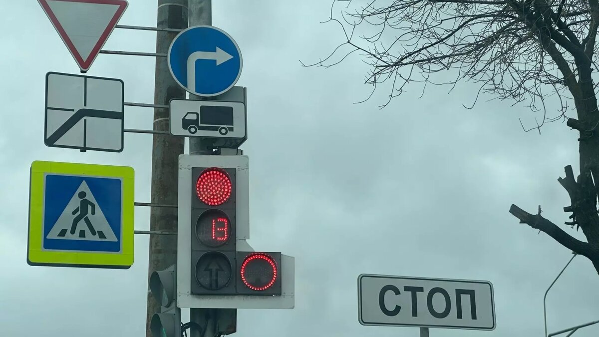     Источник: newsnn.ru