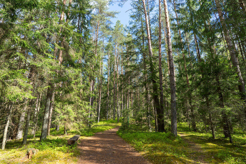 Экотропа в Силичах