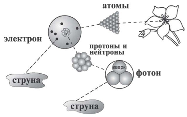 Теория струн: материя состоит из атомов, атомы — из ядра (протоны и нейтроны) и электронов. Мельчайшей частицей материи является кварк, который, в свою очередь, состоит из струн.