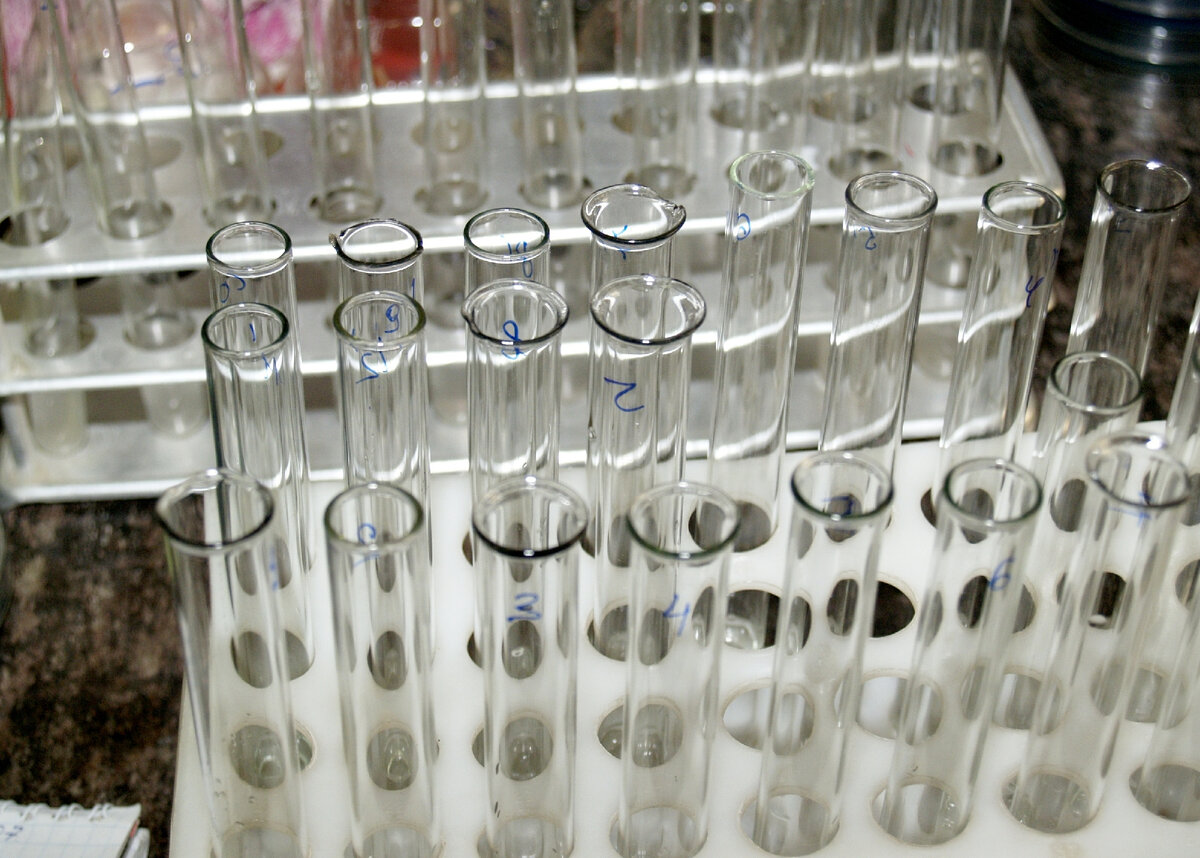 Фото: Alexander Legky/globallookpress.com