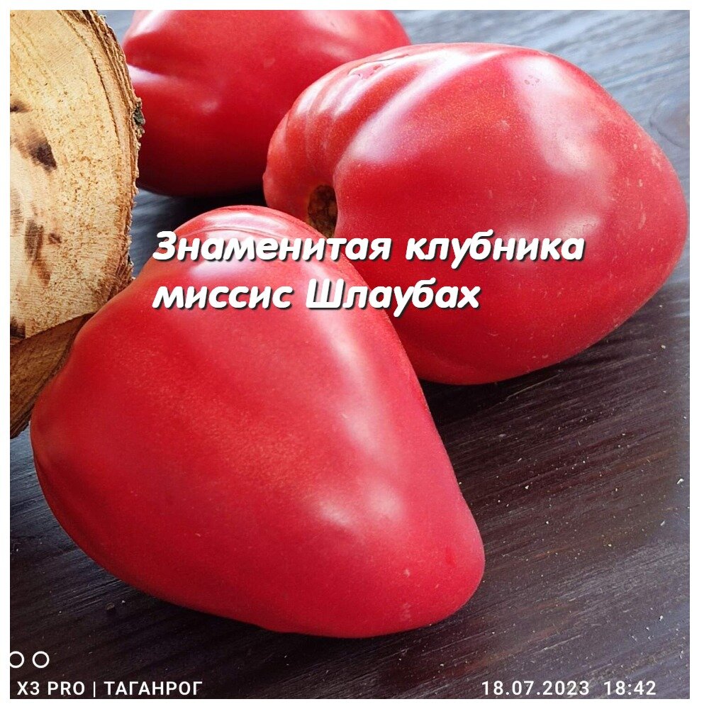 Ну красавчики!