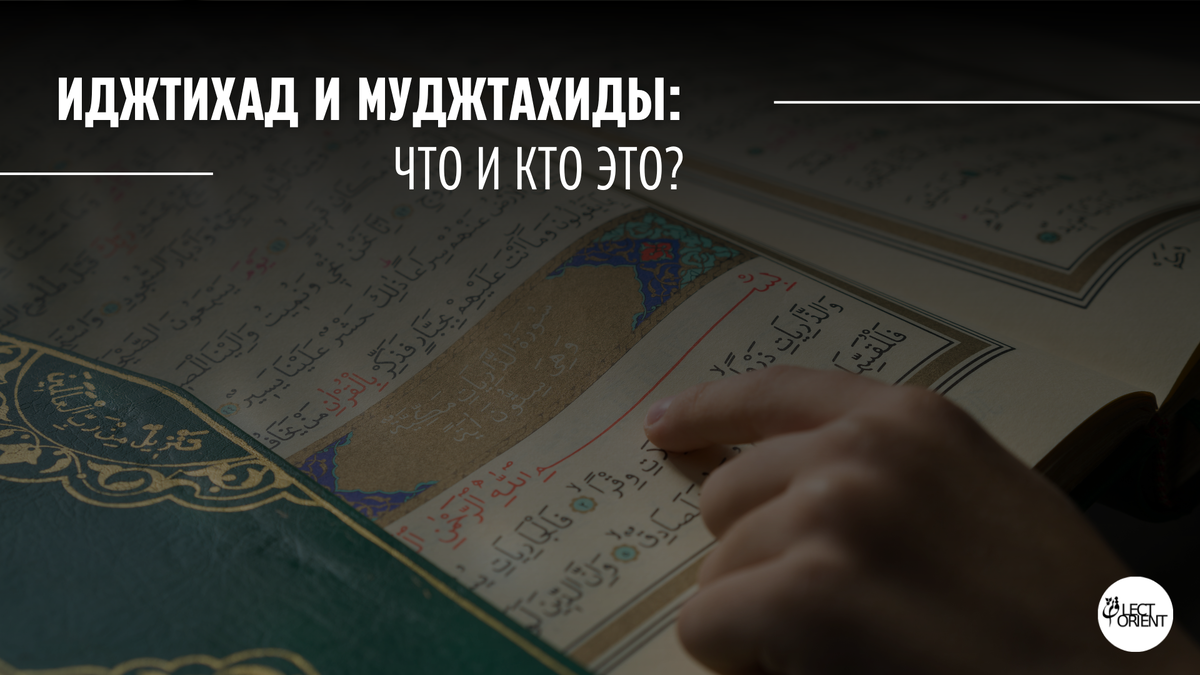 Фото взято из открытого фотостока Canva
