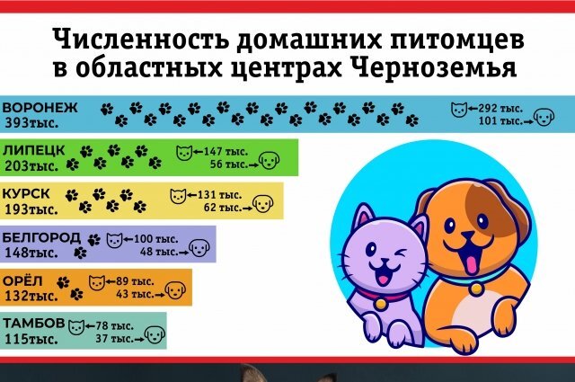    Численность домашних животных в областных центрах Черноземья. Инфографика