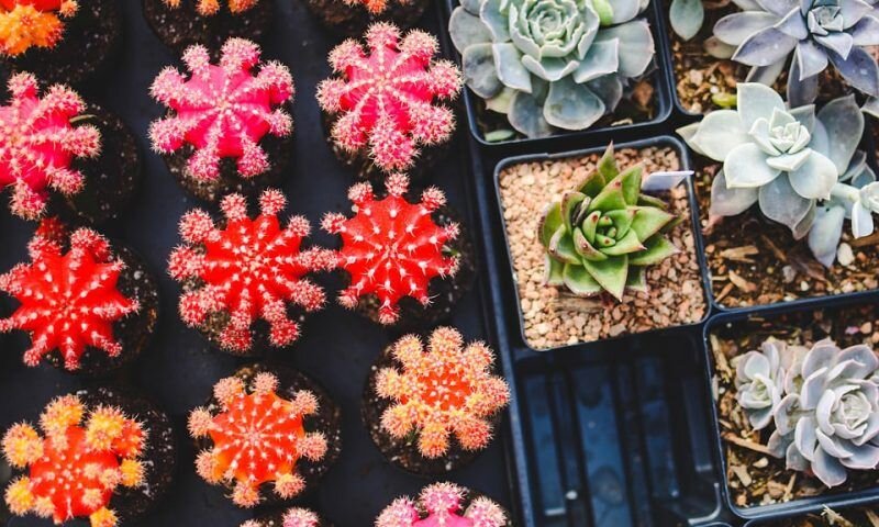 Фото pixabay.com