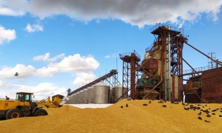    Аграрии Красноярского края получат возмещение части затрат на производство зерновых до конца апреля