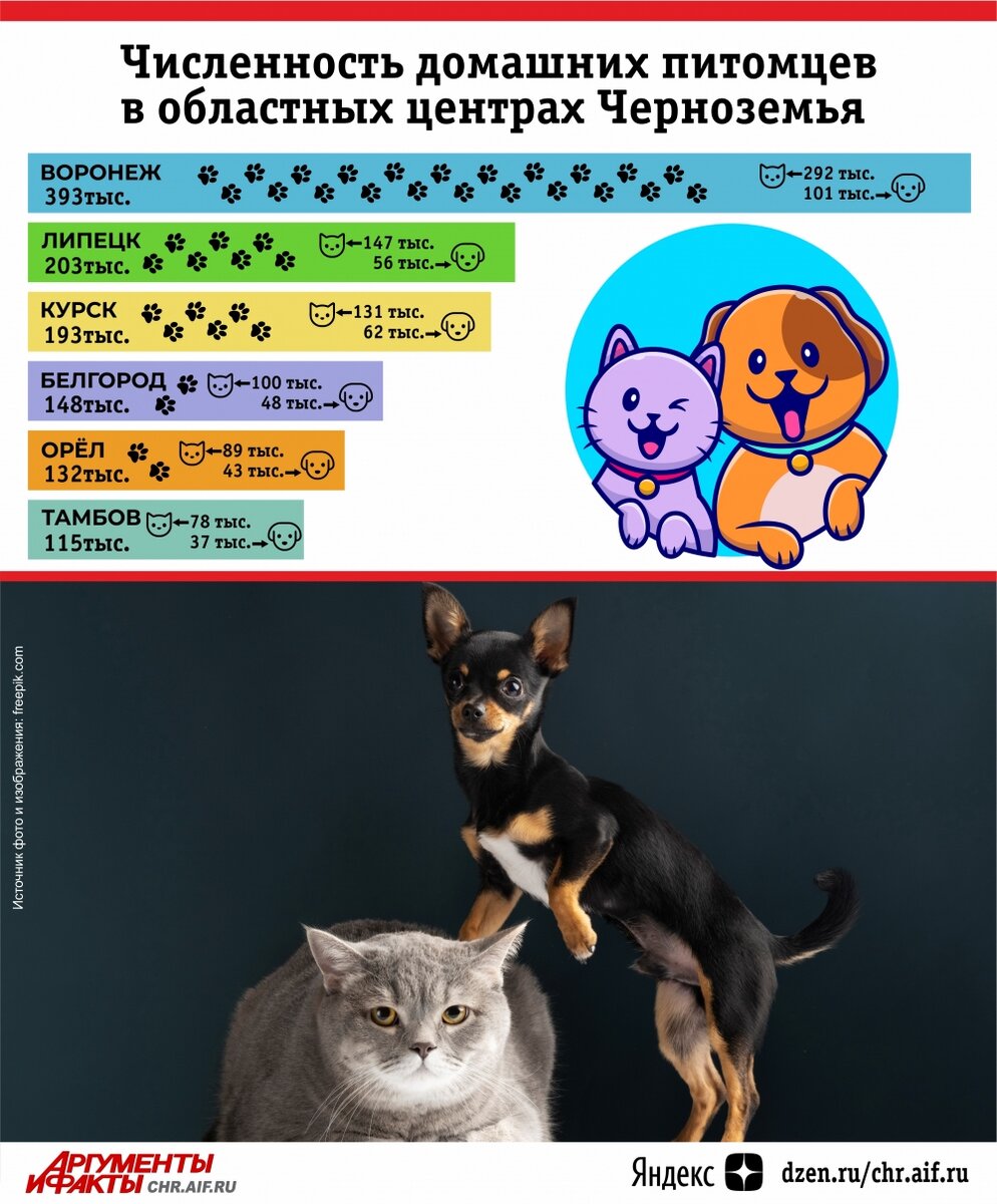    Фото:  АиФ/ Виктория Молоткова