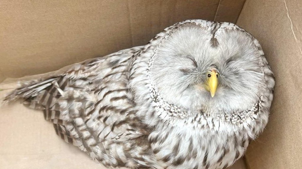    Фото: официальный сайт министерства экологии Челябинской области