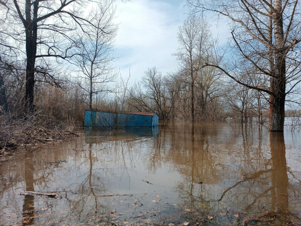 В Самарской области затопило село Белозерки в Волжском районе | OBOZ.INFO |  Дзен