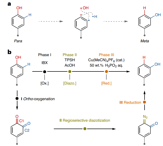   Simon Edelmann & Jean-Philip Lumb / Nature Chemistry, 2024