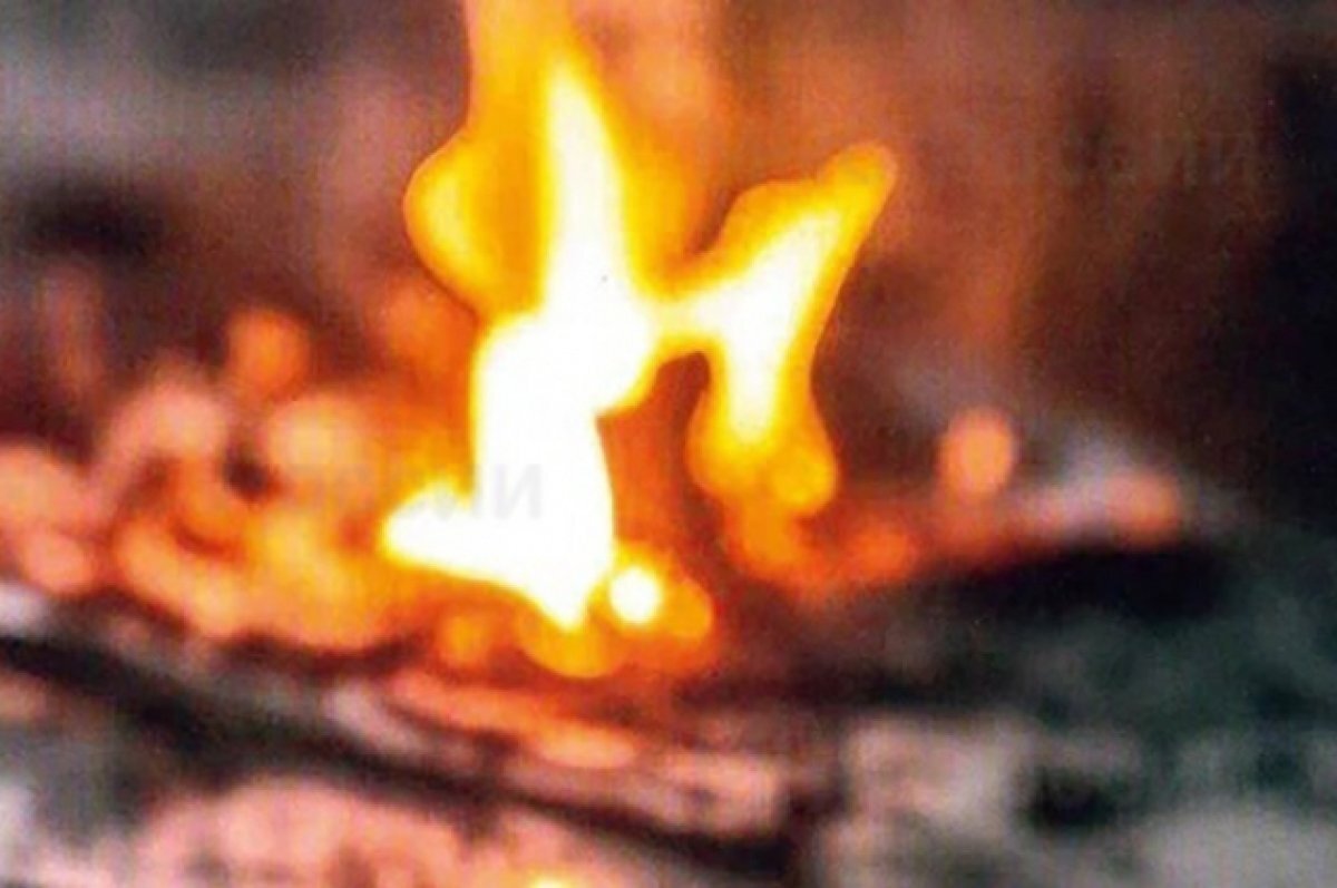    Поджигателями вертолёта Ми-8 в Самаре оказались два 16-летних тольяттинца