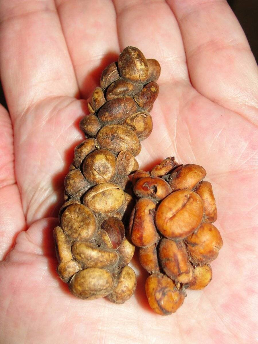 Фото из свободных источников 