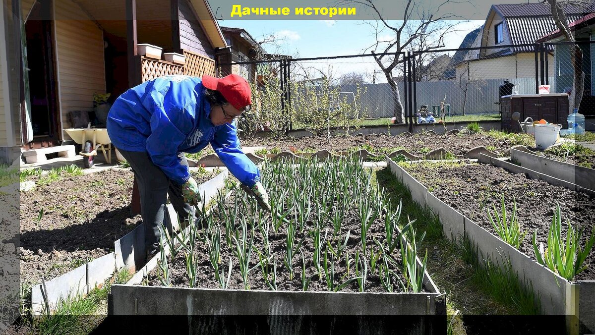 https://vk.com/photo-159774511_457265214