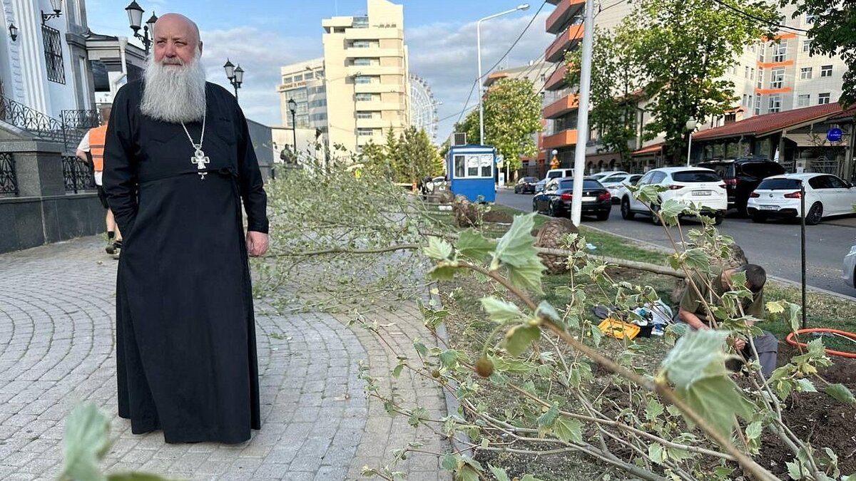    Собору Александра Невского предоставили новые платаны для высадки Фото: t.me/Lavrentiev_PA