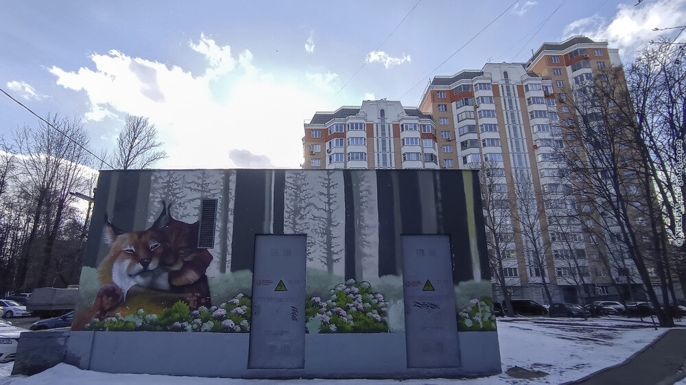 2. Котики на стенах РТП 26108 © NickFW.ru — 30.03.2022г.