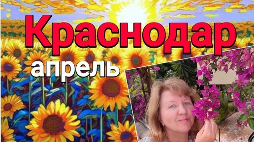 В Краснодаре+32, все цветет, базар, мои покупки