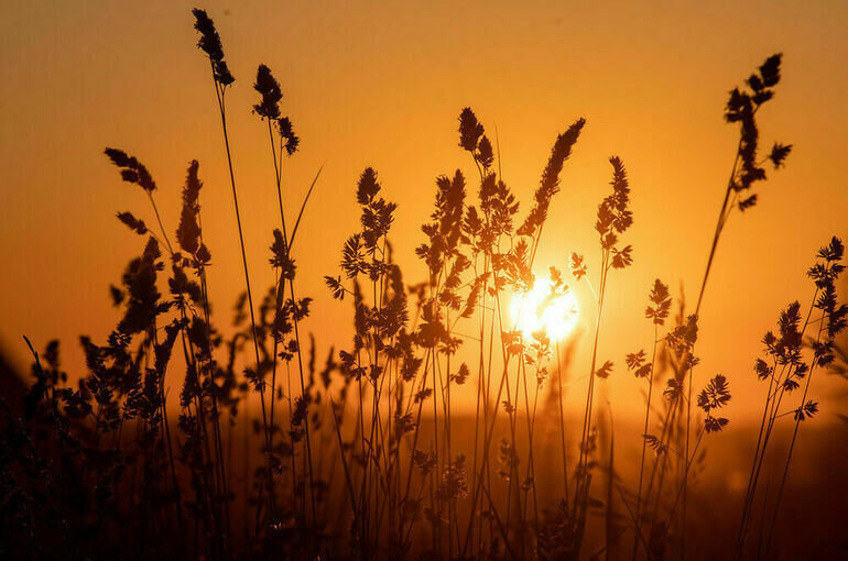   Тимур Ханов/ПГ