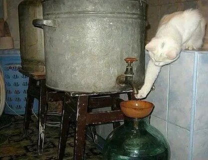 Фото из свободных источников