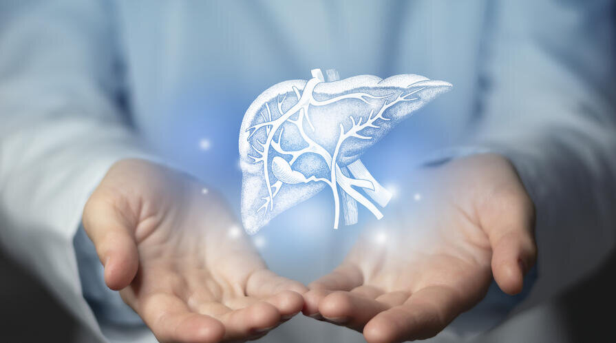     «Чистка печени» — это в действительности стимуляция желчных путей и желчного пузыря. Фото: Getty images