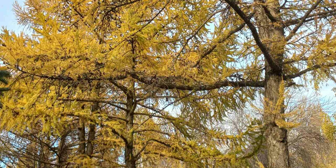 Стала мамой в 40 лет в первый раз. Глава 10.