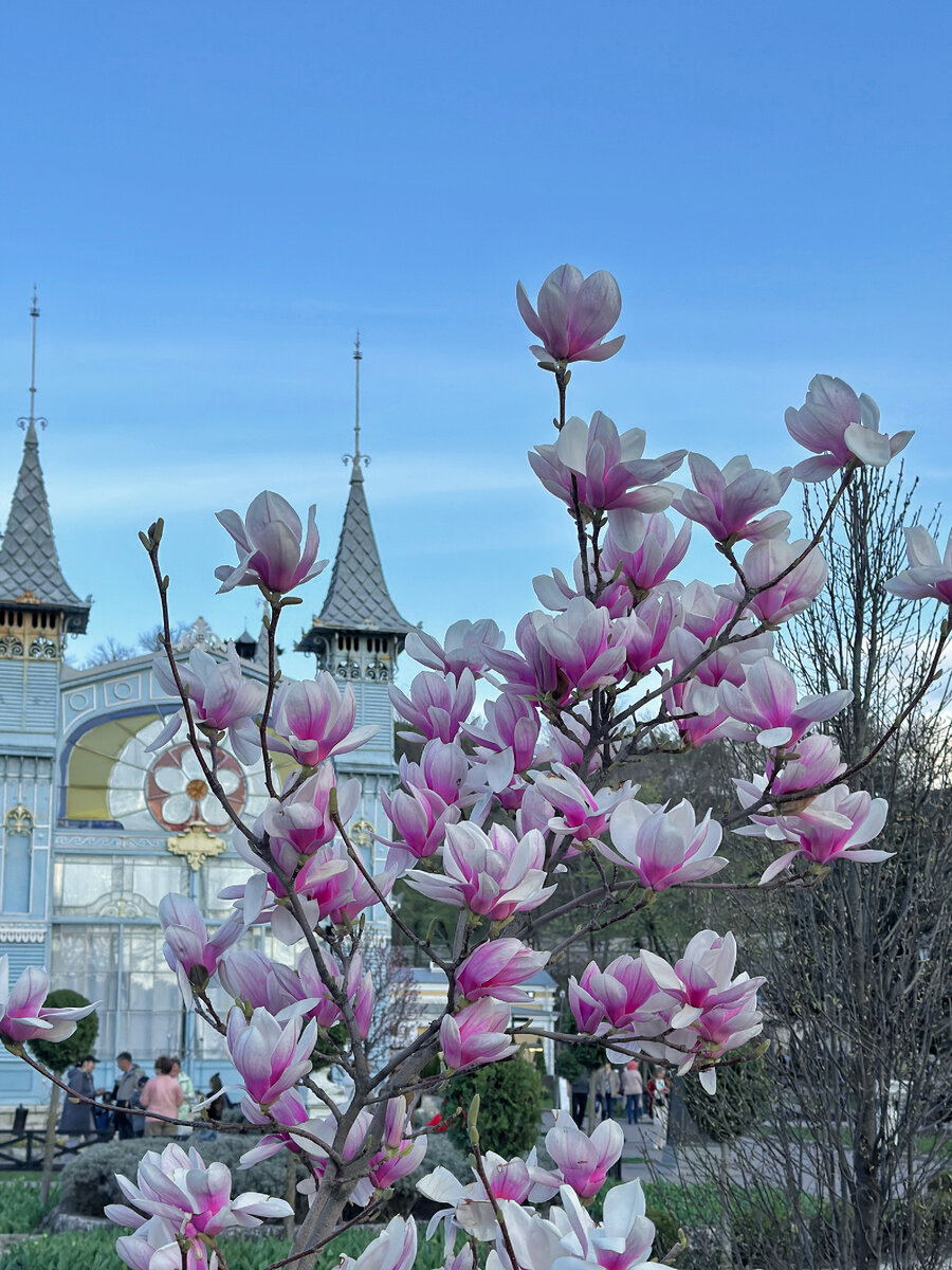 Лермонтовская галерея 