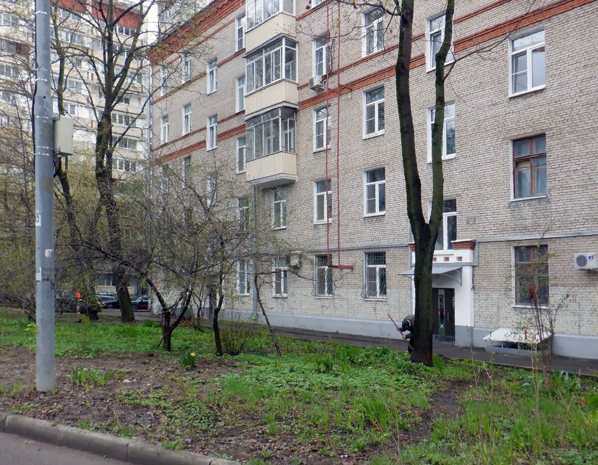 Один нарцисс уже расцвёл.