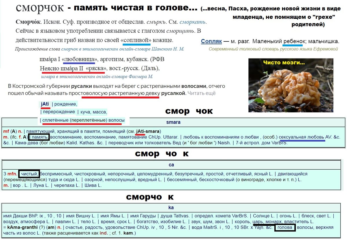 Сморчок | Русский язык - великая Книга | Дзен