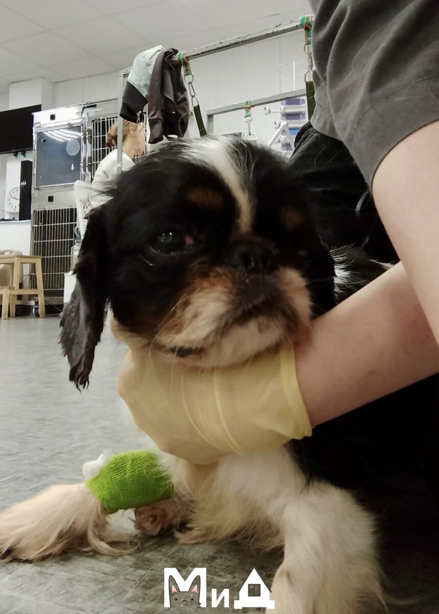 Жаклин после операции