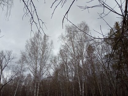 Фотография из личного архива автора