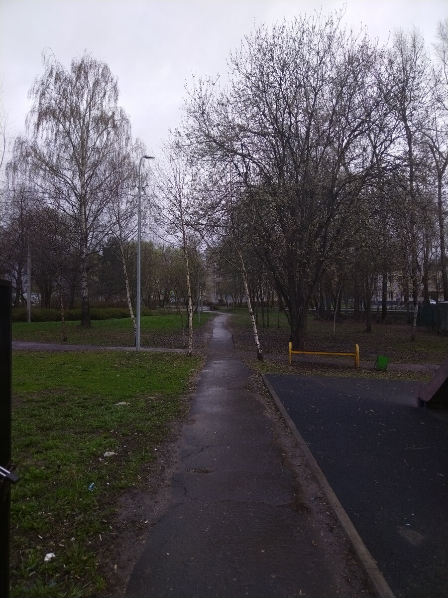 Фото автора