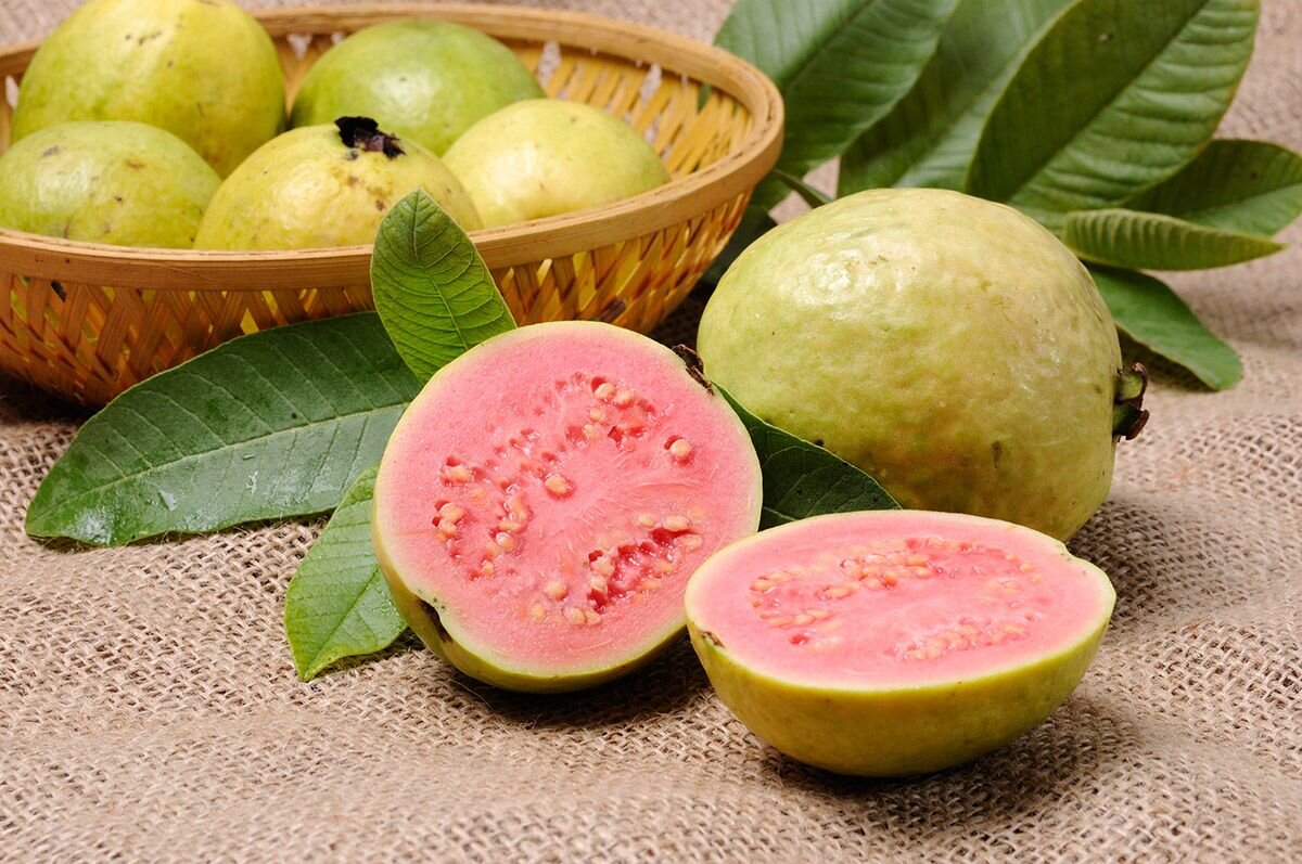 Гуава — экзотический фрукт, внешне напоминающий небольшое яблоко, грушу или авокадо📷
