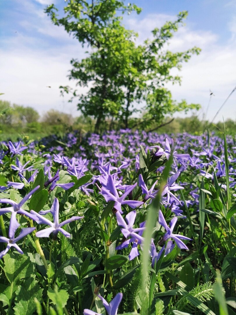 Фото взяты со стены Яромира Бородулина