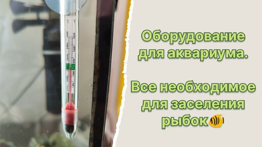 Первые шаги аквариумиста || Необходимое оборудование для аквариума || Фильтр, нагреватель + термометр.