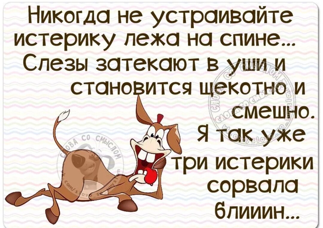 А так все устраивает. Устроены так люди желают знать. А так все устраивает. Статусы смешные до слёз. Статусы про истерику.