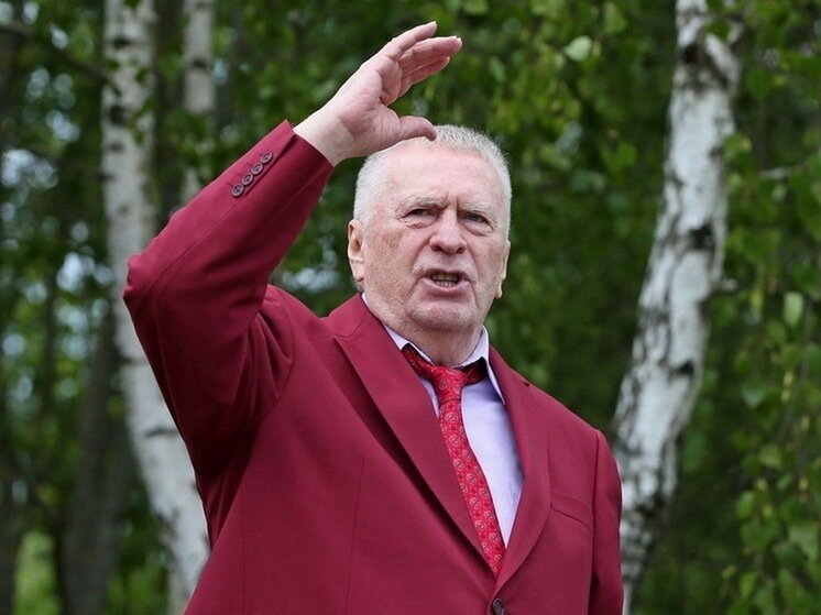     Фото: Пресс-служба ЛДПР