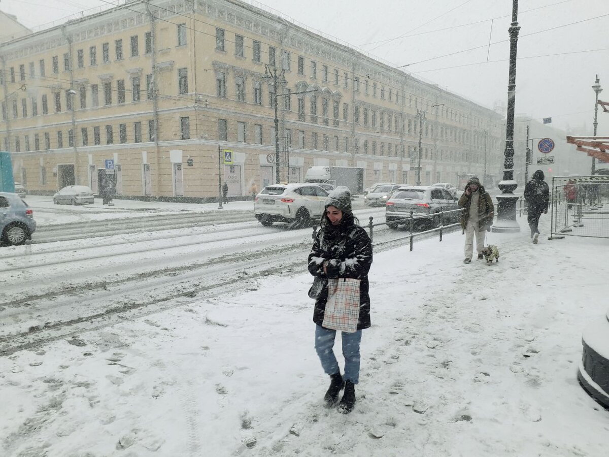 Фото: Андрей Цедрик, Полина Пучкова / Коммерсантъ