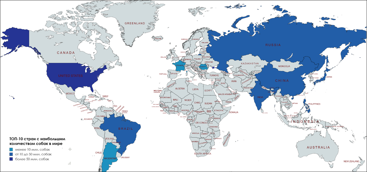 ТОП-10 стран с наибольшим количеством собак в мире