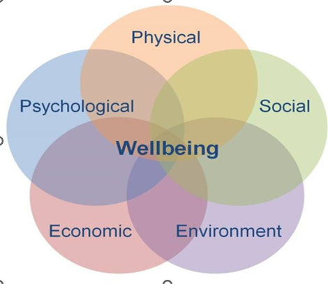 Программа Well-being. Цели, составляющие, результаты внедрения.