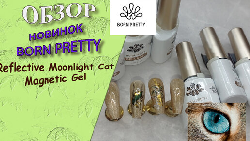 Обзор новинок от Born Pretty: Reflective Moonlight Cat Magnetic Gel 💅💃🧐/ 20.04.2024