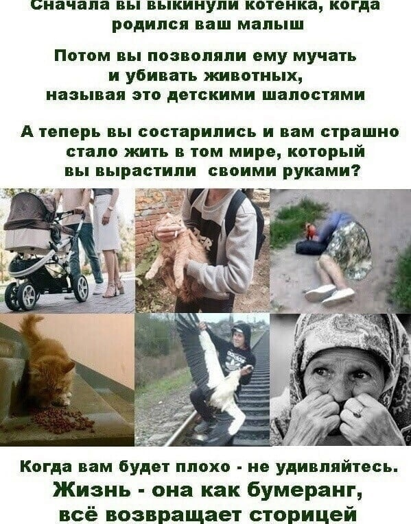 Алексей прокурор зооволонтер фото Все возвращается на круги своя. Ушки, лапки, хвостик 03 и приют Лучший друг, Бур