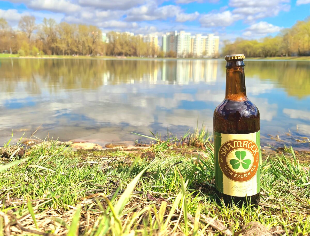 Shamrock, фото автора